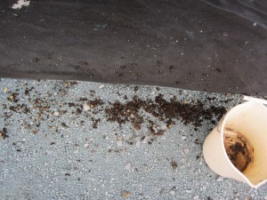debris from scraping up into the centerboard cavity
