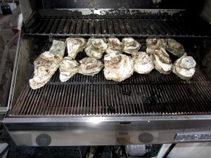 24 oysters for $7.50