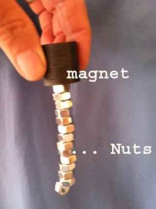 The more iron in the fastener, the more a magnet will lift. Stainless Steel grade 304 is slightly magnetic. Grade 316 shows no magnetic response.